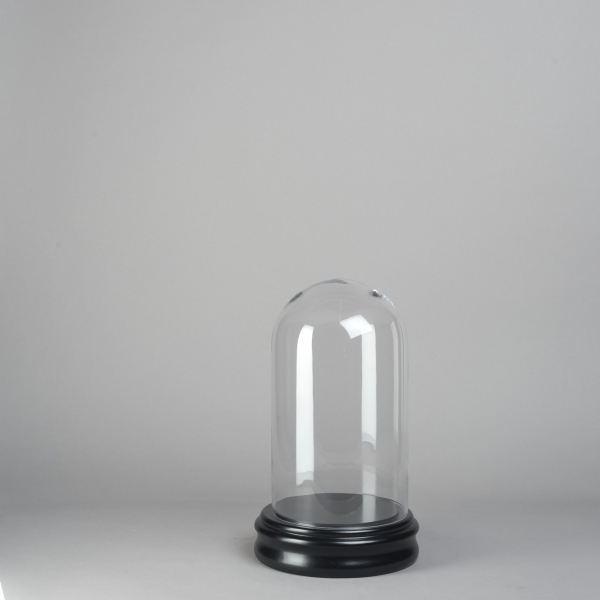 Glass-Dome, H 25 x D 10 cm, Glas, Klar;