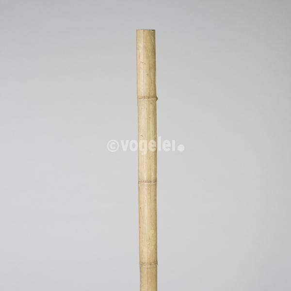 Bambusrohr, ca. D 5-10 x L 200, Natur