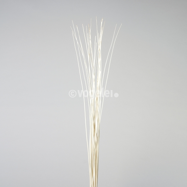 Weide gebleicht, ca.140 Stück, L 180 cm, Weiss