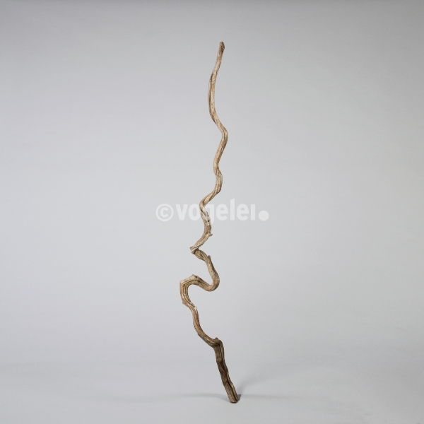 Cipo Rosco, lang, L bis ca. 200 cm, Braun