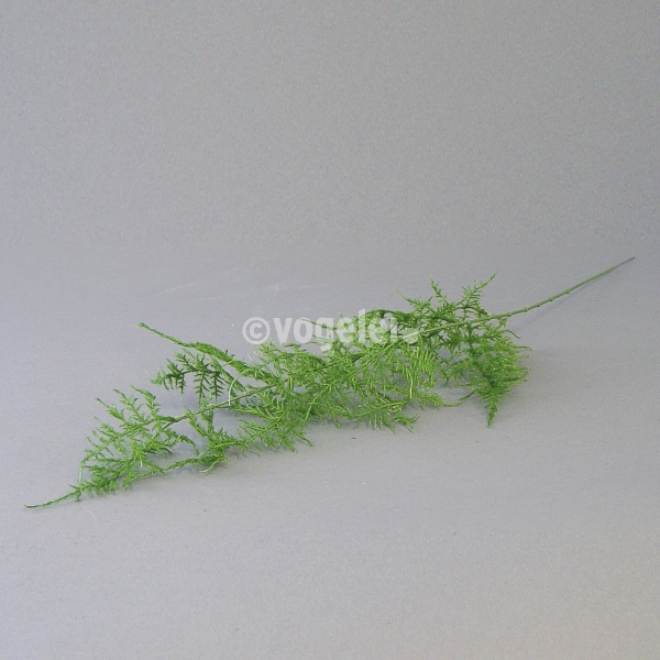 Asparaguszweig, textil, L 75 cm, Grün