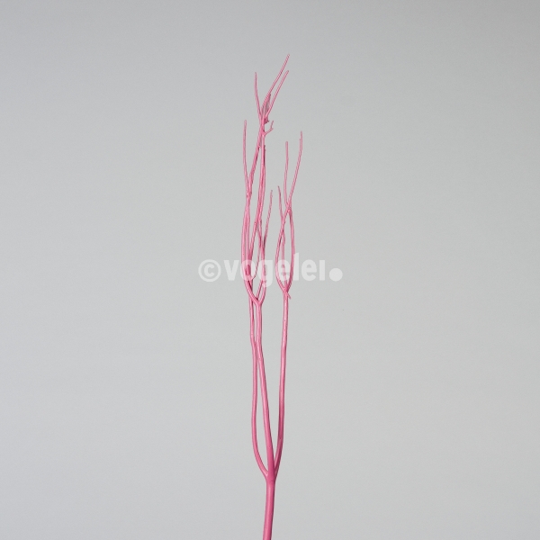 Mitsumata, gefärbt, L ca. 120 cm, Pink