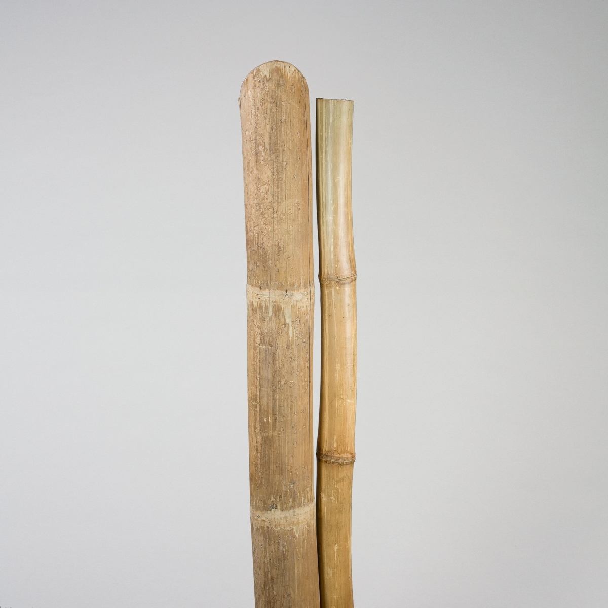 Bambusrohr, ca. D 10-20 x L 135-190 cm, Natur;