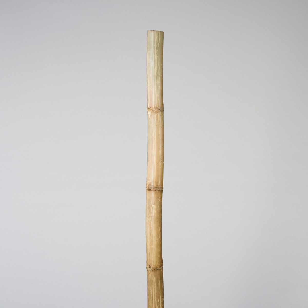 Bambusrohr, ca. D 10-20 x L 135-190 cm, Natur;