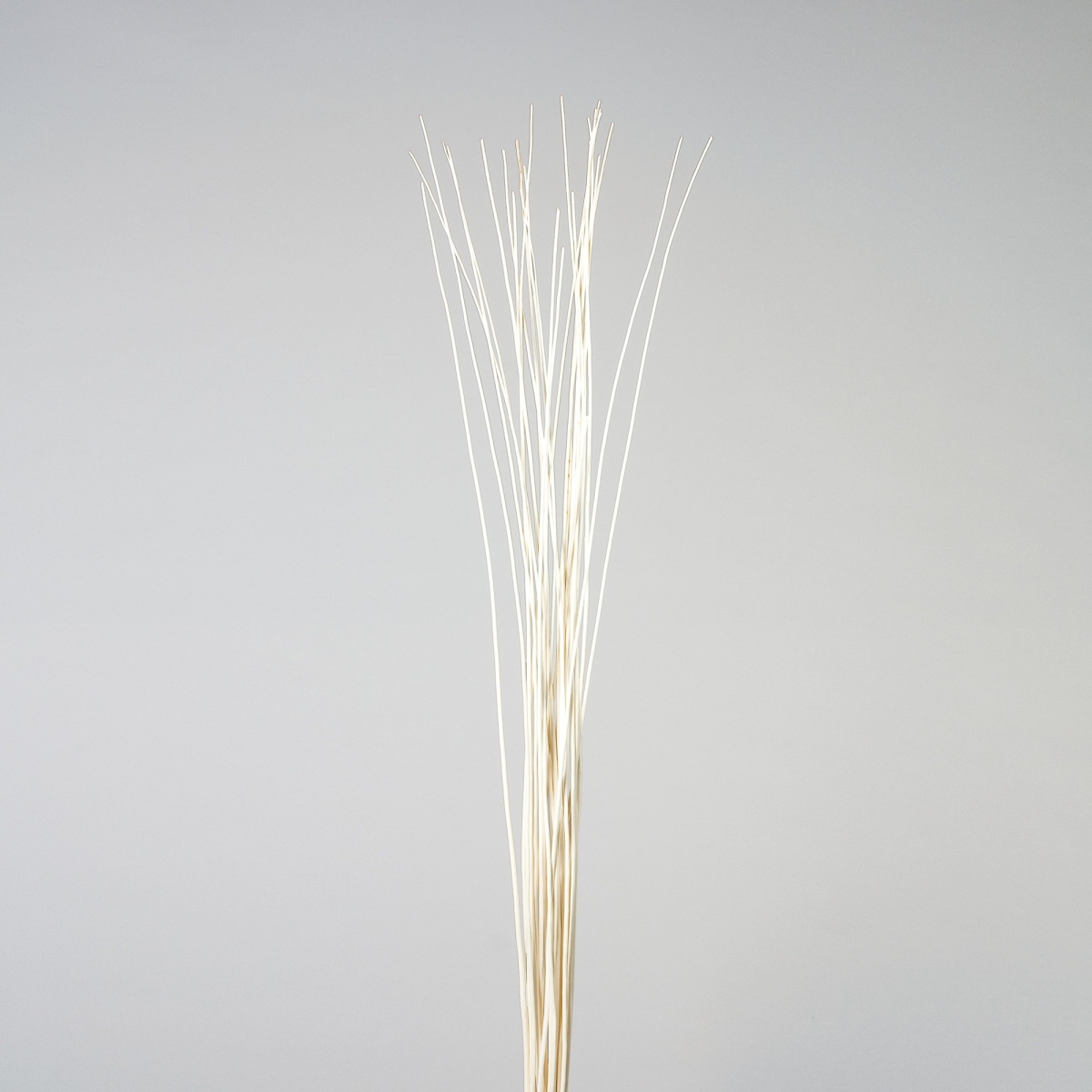 Weide gebleicht, ca.140 Stück, L 180 cm, Weiss;