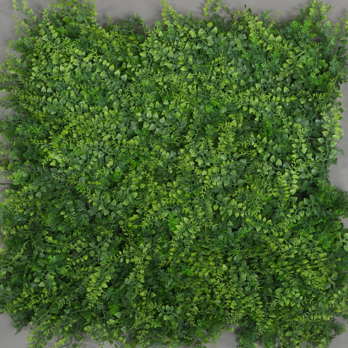 Feines Blatt Kunsthecke , 50 x 50 cm, Poly;