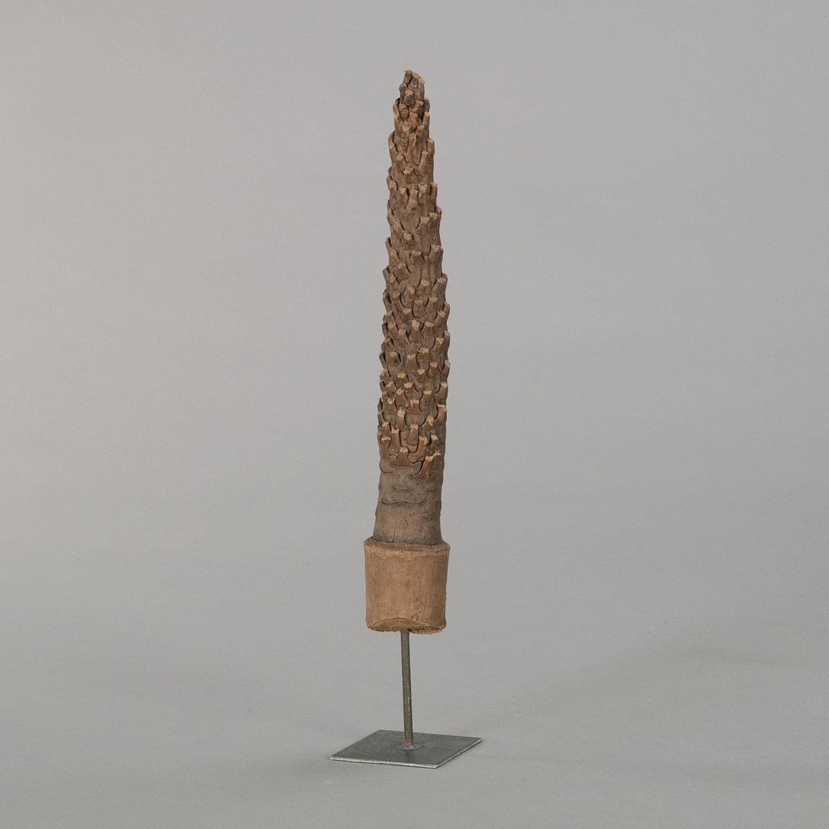 Afrika-Stick, klein, auf Eisenständer, Natur;