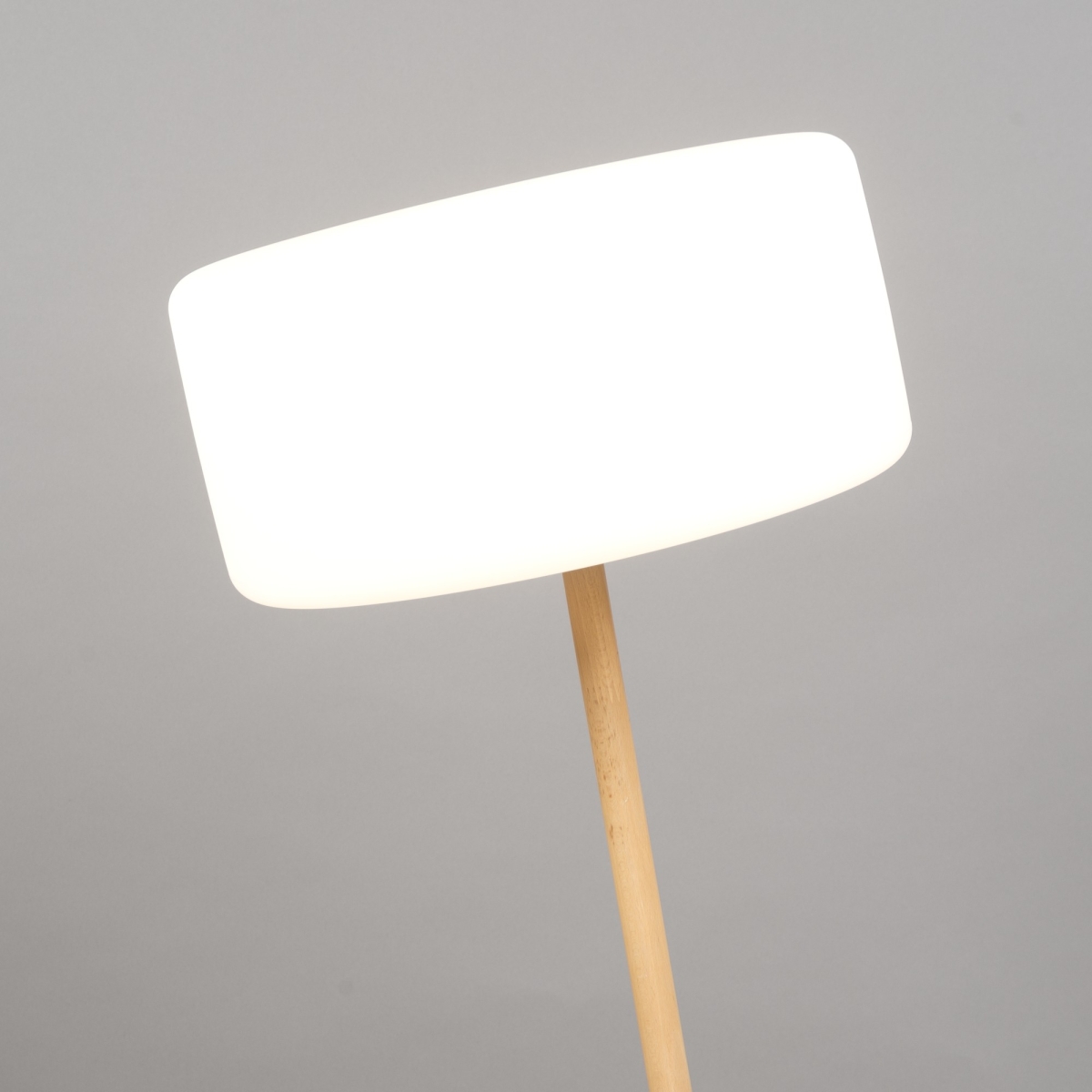 LED-Akku Hänge-/Stehleuchte THEIRRY LE SWINGER;